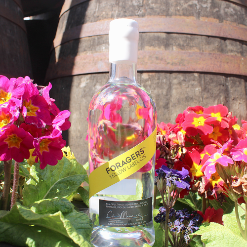 Snowdonia Foragers Gin Yellow Label - 42% 70cl